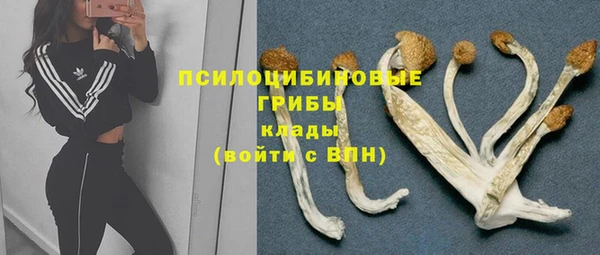 марихуана Белокуриха